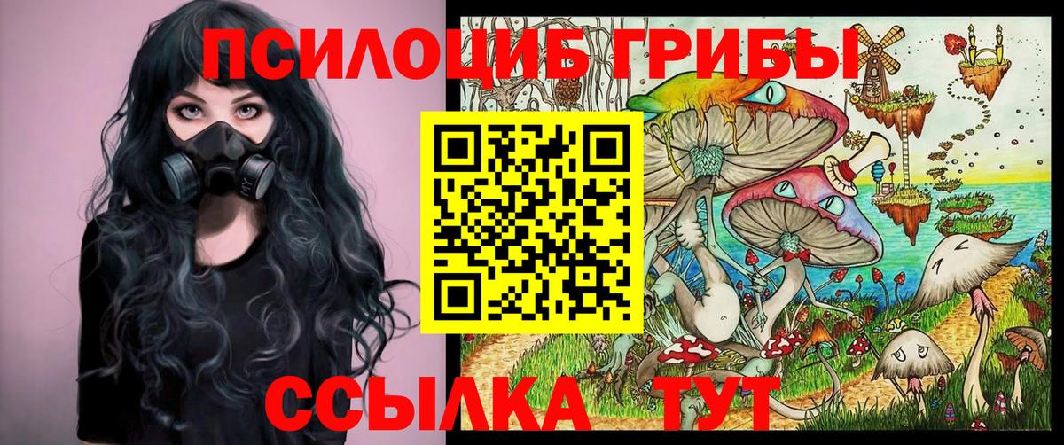 Псилоцибиновые грибы GOLDEN TEACHER Губкинский