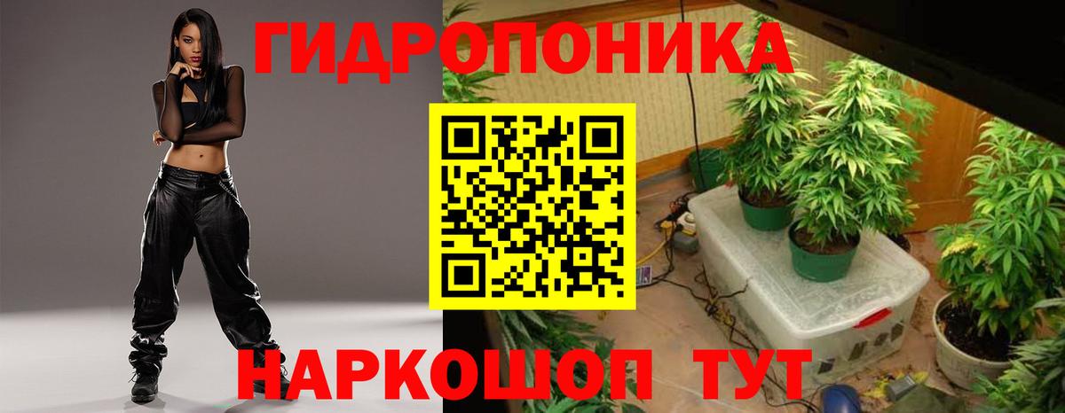 Конопля OG Kush Губкинский